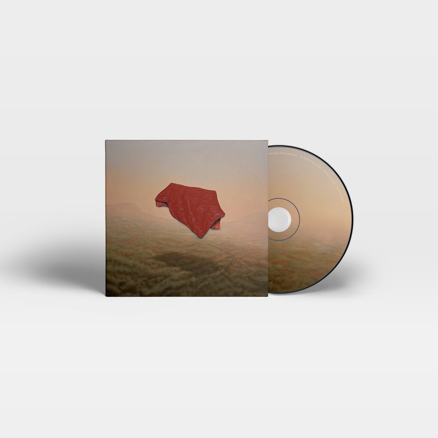 "Come With Me and Hide" CD